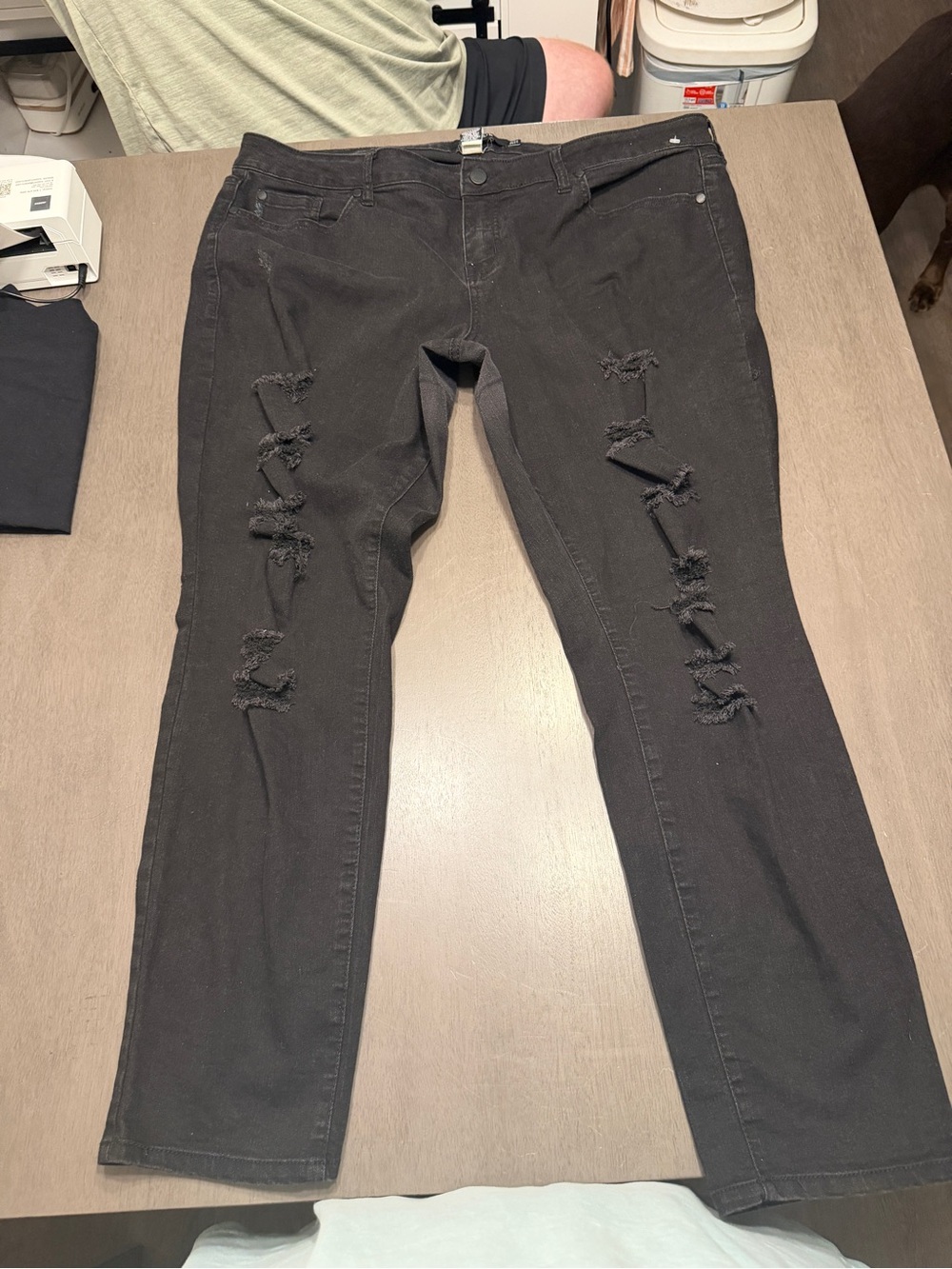 Torrid Jeans